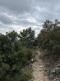 Foto von Hendrik S entlang der Tour