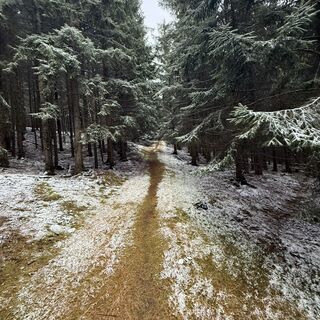 Foto från Steffen Kiesel under resans gång
