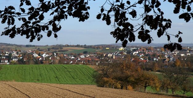 Blick auf Diedelsheim