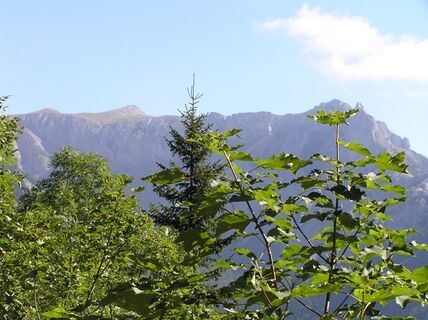 Zur Sonnschienalm