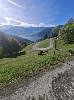 Foto von Sabine Wörgötter entlang der Tour