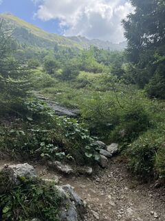 Photo de Thomas Strecker le long du parcours