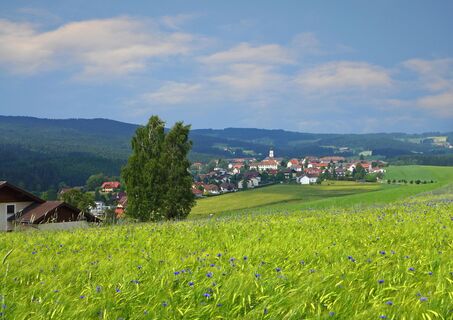 Panorana_Ansicht_Wenigzell_Oststeiermark