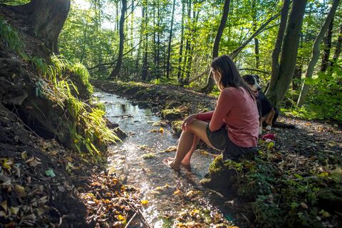 Wanderrast am Bach