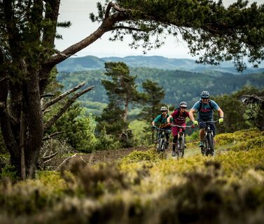 biker-willingen-1161_c__nathan_hughes.jpg
