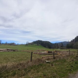 Fotografia z Sonja Enzenhofer na trase