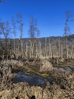 Fotografie de la Albin1958 de-a lungul turului