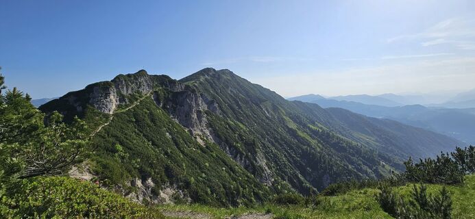 Foto da garrincha lungo il tour
