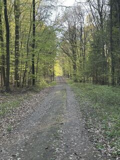 Foto von Dirk Mallow entlang der Tour