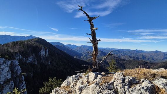 Foto von Patrick82 entlang der Tour