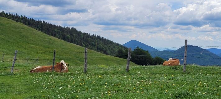 Foto von Nicky entlang der Tour