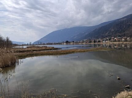 Fotografie z Jacky Blues 1 na trase