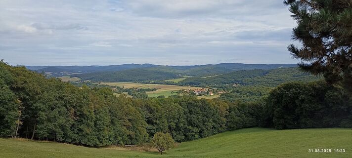 Фото с сайта Walter Köllner во время экскурсии