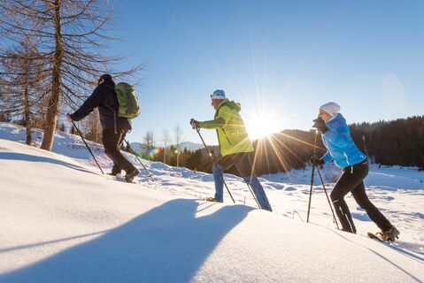 Schneeschuhwanderung