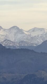 Fotografija s spletne strani Wine Consultancy na poti