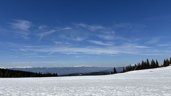 Zdjęcie z Zudong Fu wzdłuż trasy