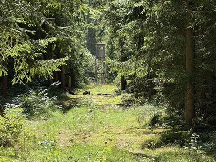 Foto von Norbert Herbig entlang der Tour