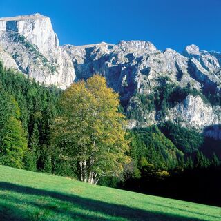 Blick zum Hochschwab-Massiv