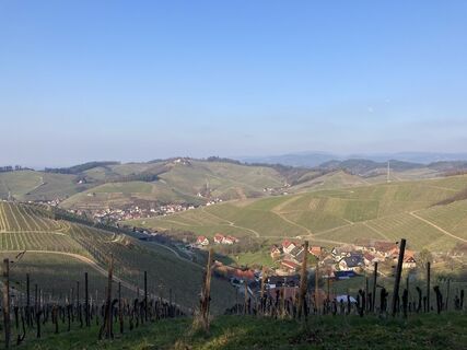 Foto da Björn Grampp lungo il tour