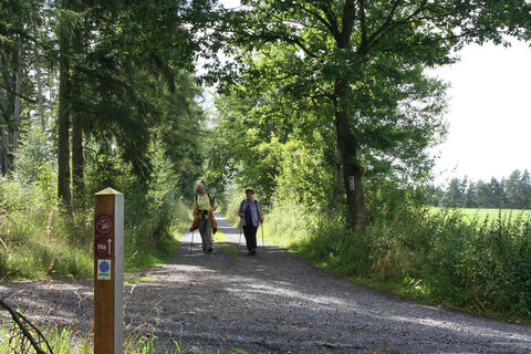 Wandern auf Habichtswaldsteig bei Naumburg