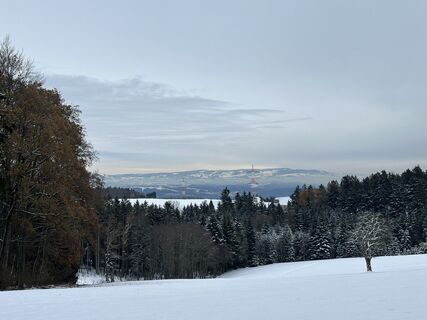 Fotó a Babs Holz honlapról a túra során