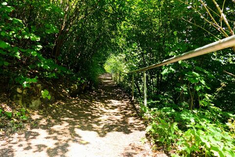 Waldweg - Meiningen
