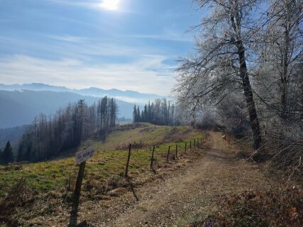 Fotografia z Rudi na trase