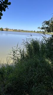 Foto de Hans Felli a lo largo del recorrido