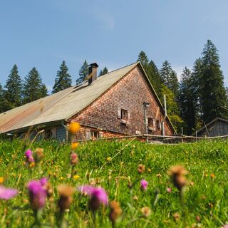 Alpe Ehrenschwang
