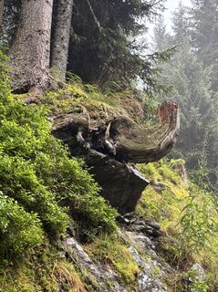 Photo de Sylvia Sellung le long du parcours
