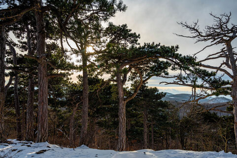 Foto von Ekhard Oberleitner entlang der Tour