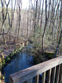 Foto fra Kessy undervejs på turen