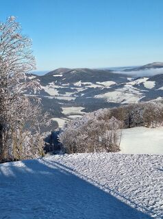 Foto von Mimi entlang der Tour