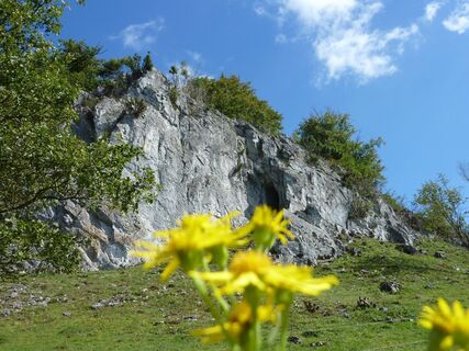 Hoher Stein in Kallenhardt