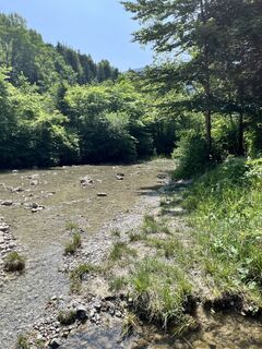 Fotografie de la Dennis Buchmeier de-a lungul turului