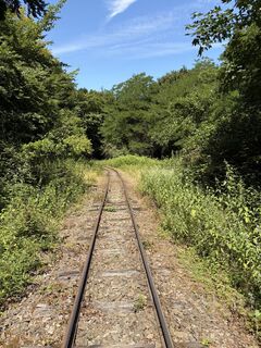 Photo de Máté Ádám Schultheisz le long du parcours
