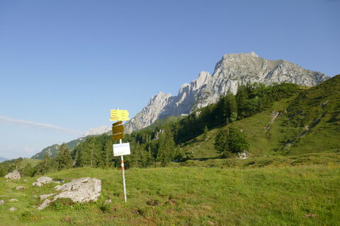am Sattel vor der Kaiser Niederalm - Blick zur Maukspitze