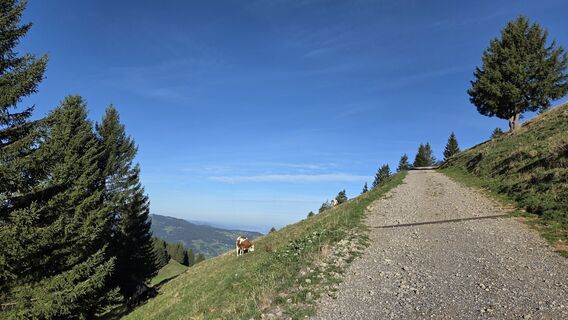 Fotografija s spletne strani V Feurstein na poti