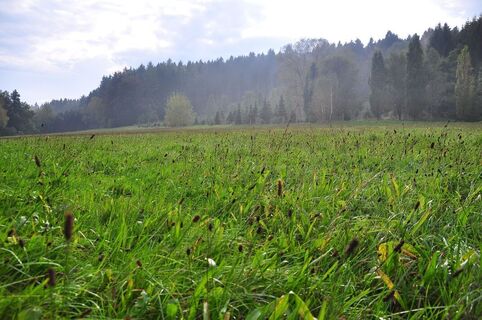 Anfang Naturlehrpfad