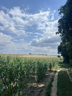 Foto von Marlene Hronicek entlang der Tour