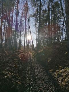 Fotografia z luyyy na trase