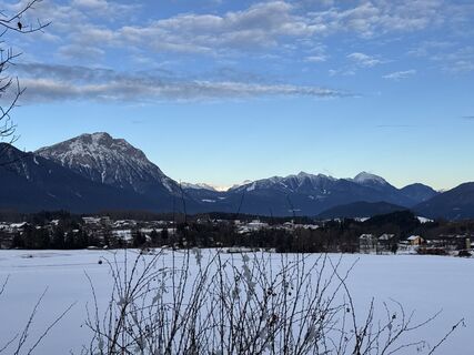 Foto de Grizzli a lo largo del recorrido