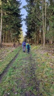 Impression Wanderung am Vogelsang bei Meschede