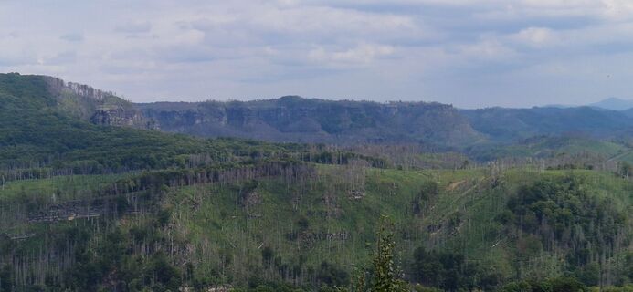 Zdjęcie z Ronny Kalusa wzdłuż trasy