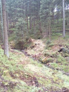 Blick auf den Kreuzbach