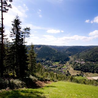 Tolle Aussichten