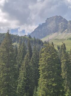 Fotografija s spletne strani alinradu na poti