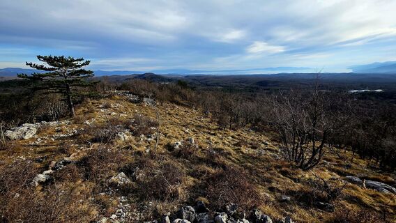 Zdjęcie z Danijel Sorola wzdłuż trasy
