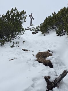 Fotografija s spletne strani Carlo Ospelt (Wuffenstein) na poti