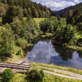 Märtesweiher in Klosterreichenbach